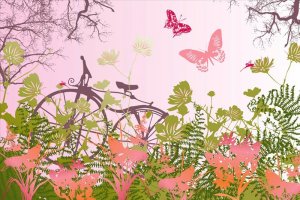 Bicycle+meadow