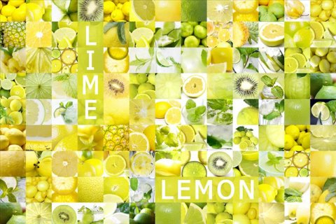 AS Creation XXL Food 2010 Lemon 0331-11 , 33111  2m x 1.33m Fototapete