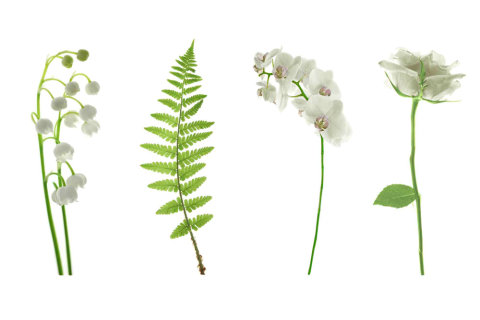 AS Creation XXL Nature 2011 White flowers 0362-01 , 36201  2m x 1.33m Fototapete