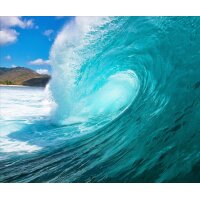 AS Creation XXL Nature 2010 Wave 0410-22 , 41022  3m x...