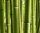 AS Creation XXL Nature 2010 Bamboo 0410-52 , 41052  3m x 2.5m Fototapete