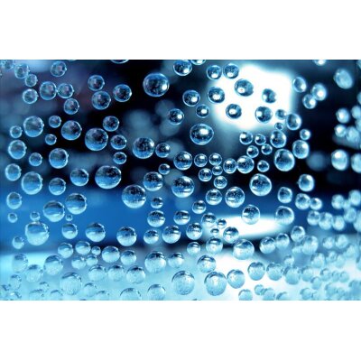 AS Creation XXL Nature 2010 Dew Drop 0311-48 , 31148  4m x 2.67m Fototapete