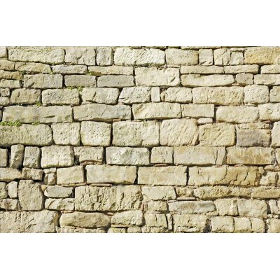 AS Creation XXL Nature 2010 Wall 0412-14 , 41214  5m x 3.33m Fototapete