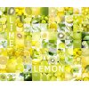 AS Creation XXL Food 2010 Lemon 0431-12 , 43112  3m x 2.5m Fototapete