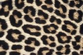 AS Creation XXL Eyecatcher 2011 Leopard skin 0461-71 ,...