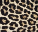 AS Creation XXL Eyecatcher 2011 Leopard skin 0461-72 ,...