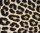 AS Creation XXL Eyecatcher 2011 Leopard skin 0461-72 , 46172  3m x 2.5m Fototapete