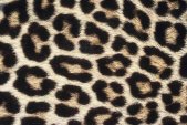 AS Creation XXL Eyecatcher 2011 Leopard skin 0461-73 ,...