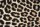 AS Creation XXL Eyecatcher 2011 Leopard skin 0461-73 , 46173  4m x 2.67m Fototapete