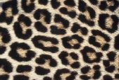 AS Creation XXL Eyecatcher 2011 Leopard skin 0461-74 ,...