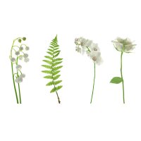 AS Creation XXL Nature 2011 White flowers 0462-02 , 46202...