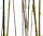 AS Creation XXL Nature 2011 Thin Bamboo 0462-72 , 46272  3m x 2.5m Fototapete
