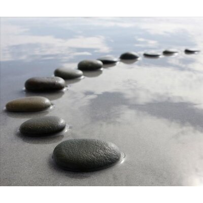 AS Creation XXL Nature 2011 Black Stones3 0463-82 , 46382  3m x 2.5m Fototapete