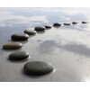 AS Creation XXL Nature 2011 Black Stones3 0463-82 , 46382  3m x 2.5m Fototapete
