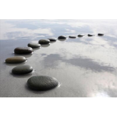 AS Creation XXL Nature 2011 Black Stones3 0463-83 , 46383  4m x 2.67m Fototapete