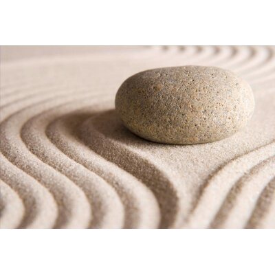 AS Creation XXL Nature 2011 Stone on sand1 0464-04 , 46404  5m x 3.33m Fototapete