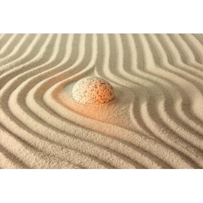 AS Creation XXL Nature 2011 Stone on sand2 0464-13 , 46413  4m x 2.67m Fototapete