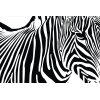 AS Creation XXL Nature 2011 Zebra 0464-31 , 46431  2m x 1.33m Fototapete