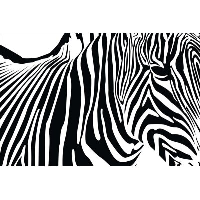 AS Creation XXL Nature 2011 Zebra 0464-33 , 46433  4m x 2.67m Fototapete
