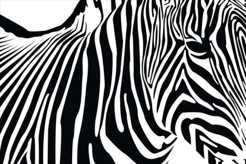 AS Creation XXL Nature 2011 Zebra 0464-34 , 46434  5m x 3.33m Fototapete