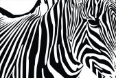 AS Creation XXL Nature 2011 Zebra 0464-34 , 46434  5m x...