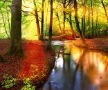 AS Creation XXL Nature 2011 Forest stream 0465-82 , 46582...