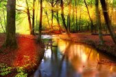 AS Creation XXL Nature 2011 Forest stream 0465-83 , 46583...