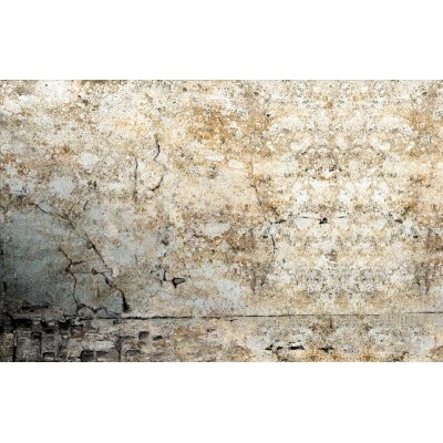 AS Creation XXL Wallpaper 2011 Plaster wall 0467-31 , 46731  2m x 1.33m Fototapete