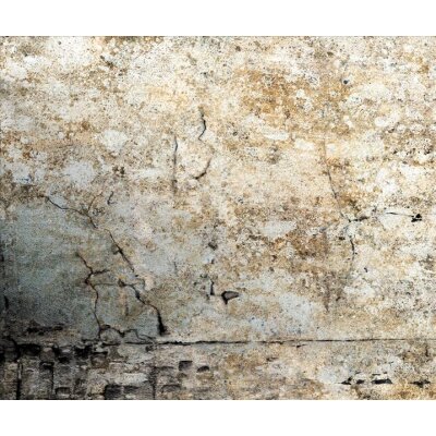 AS Creation XXL Wallpaper 2011 Plaster wall 0467-32 , 46732  3m x 2.5m Fototapete