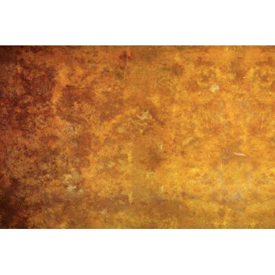 AS Creation XXL Wallpaper 2011 Vintage rust 0467-94 , 46794  5m x 3.33m Fototapete