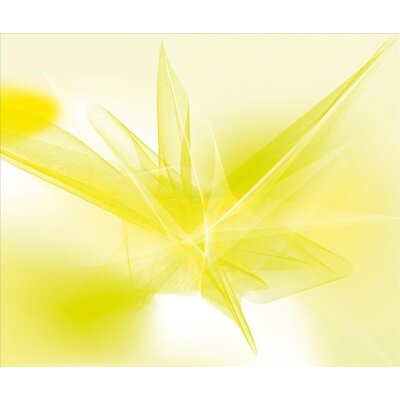 AS Creation XXL Wallpaper 2011 Soft graphic 0469-22 , 46922  3m x 2.5m Fototapete