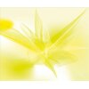 AS Creation XXL Wallpaper 2011 Soft graphic 0469-22 , 46922  3m x 2.5m Fototapete