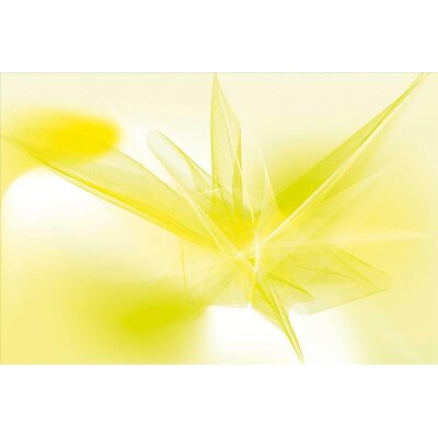 AS Creation XXL Wallpaper 2011 Soft graphic 0469-23 , 46923  4m x 2.67m Fototapete