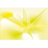 AS Creation XXL Wallpaper 2011 Soft graphic 0469-23 , 46923  4m x 2.67m Fototapete