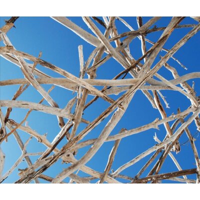 AS Creation XXL Nature 2011 Calming 1 0470-52.4 , 47052.4  7m x 2.67m Fototapete