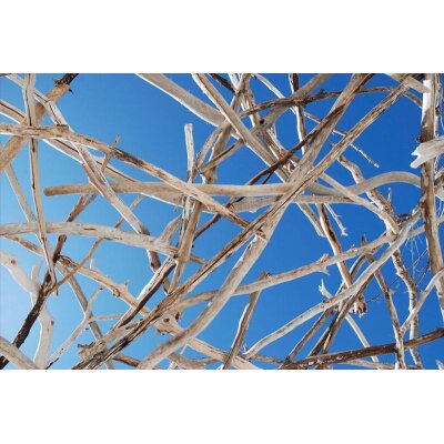 AS Creation XXL Nature 2011 Calming 1 0470-53.2 , 47053.2  4m x 2.67m Fototapete