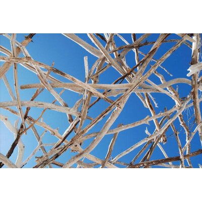 AS Creation XXL Nature 2011 Calming 1 0470-54.1 , 47054.1  3m x 2.50m Fototapete