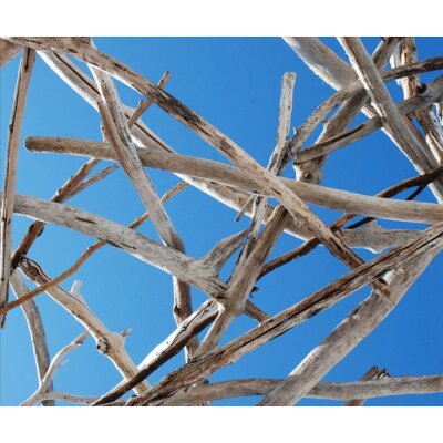 AS Creation XXL Nature 2011 Calming 2 0470-62.4 , 47062.4  7m x 2.67m Fototapete