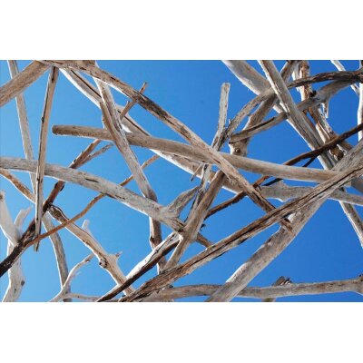 AS Creation XXL Nature 2011 Calming 2 0470-63.4 , 47063.4  7m x 2.67m Fototapete