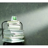 Marburg Ornamental Home Nr. 55226 Vliestapete