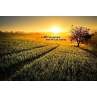 AS Creation XXL Wallpaper 3 InTheMorning Fototapete 4,00m...