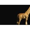 AS Creation XXL Wallpaper 3 Giraffe Fototapete 470683