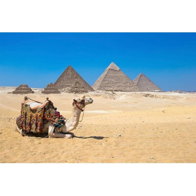 AS Creation XXL Wallpaper 3 Giza in Cairo Fototapete 470601