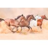 AS Creation XXL Wallpaper 3 Herd Gallops Fototapete 470-606