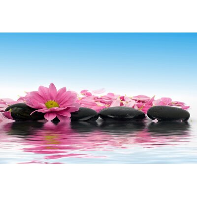 AS Creation XXL Wallpaper 3 Lily at Spa Fototapete 470-663