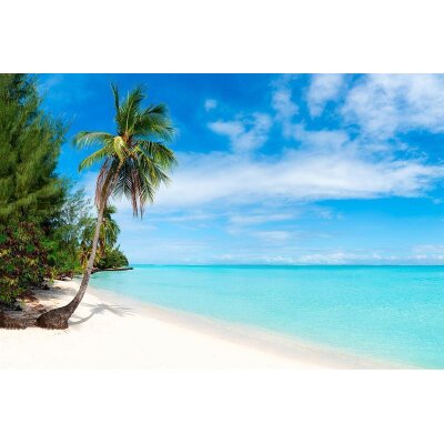 AS Creation XXL Wallpaper 3 Tropical Sea 1 Fototapete 470-691