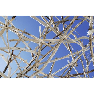 AS Creation XXL Wallpaper 2 Calming Ceiling Fototapete 470-379