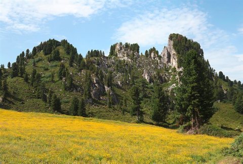 AS Creation AP Digital Austrian Mountains View 6 Fototapete Größe 5,00m x 3,33 m XXL 476-494