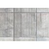 AS Creation AP Digital Beton 5 Fototapete 470-442