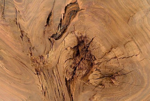 AS Creation AP Digital Log of Wood Fototapete Größe 4,00m x 2,70 m  AP 476-428